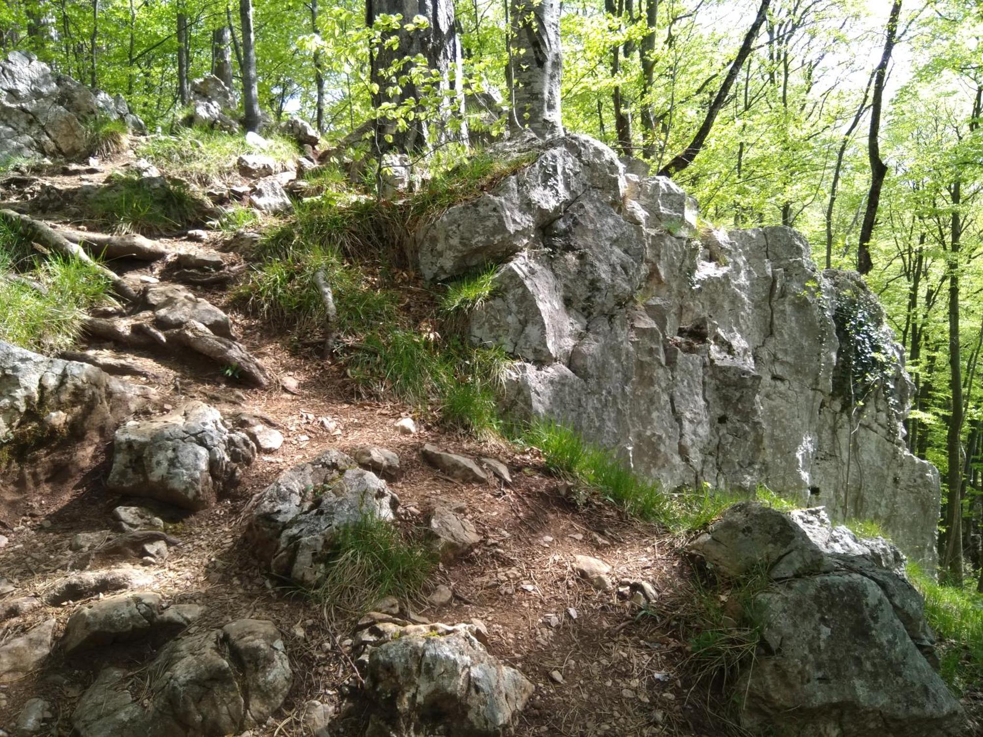 Viola I Detelina Apartments Perucac Buitenkant foto